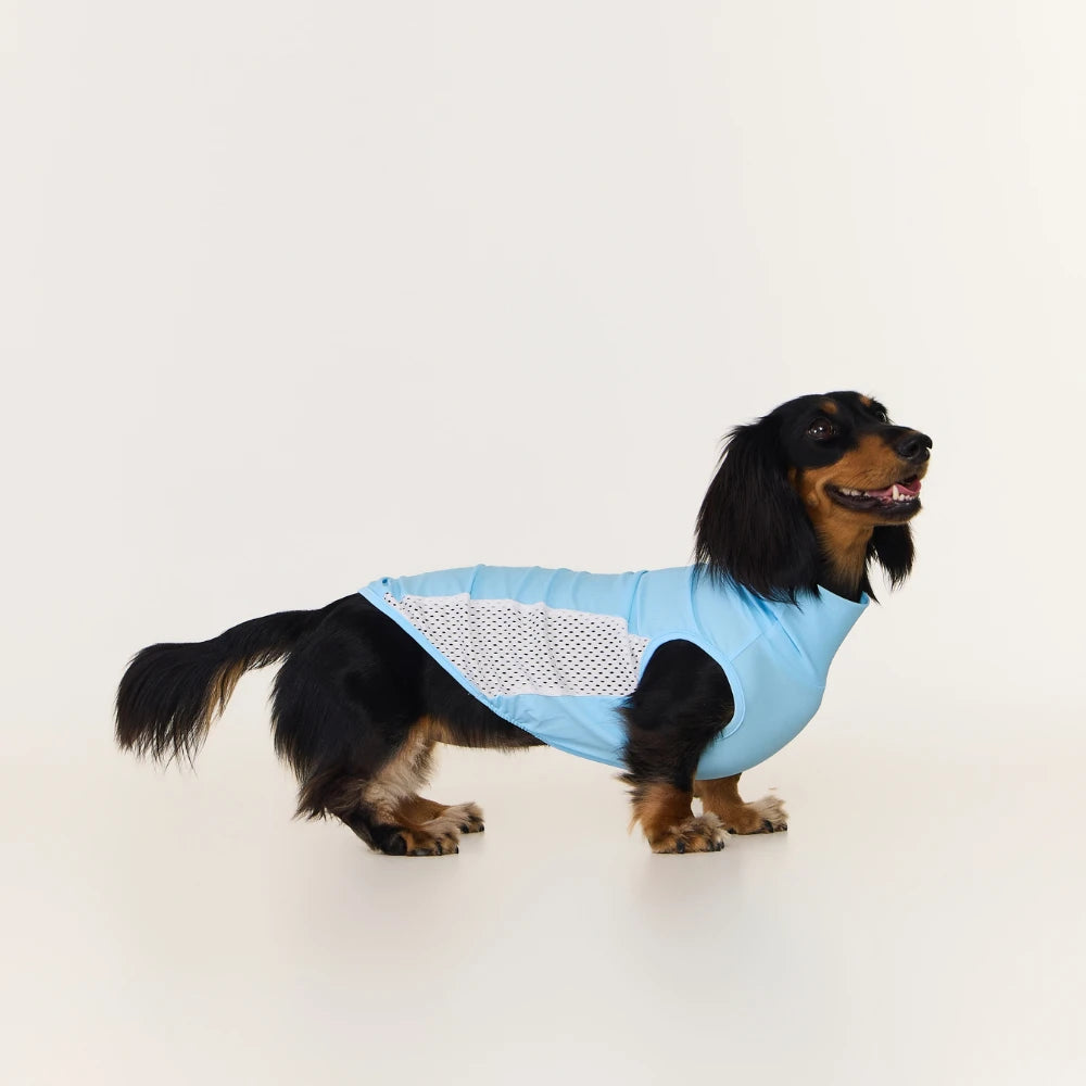 Yellow Cooling Vest