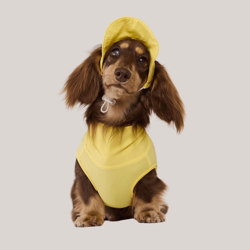 Blue Cooling Hat