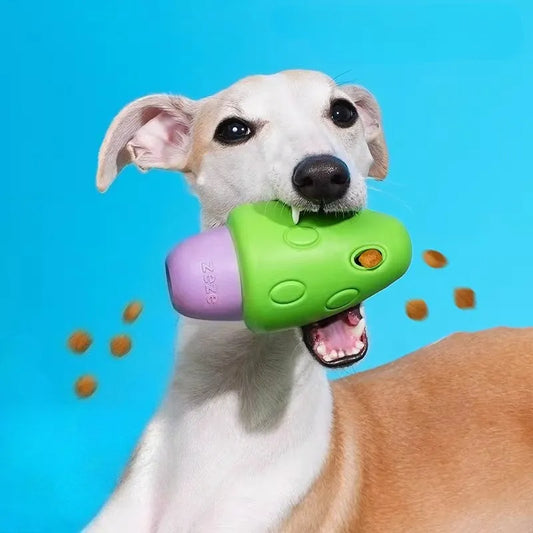 The Complete Guide to Small Dog Toys: Everything You Need to Know