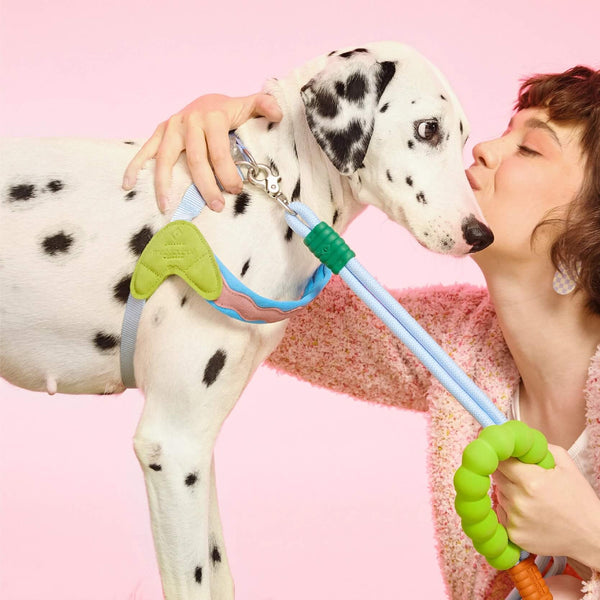 LEASH
