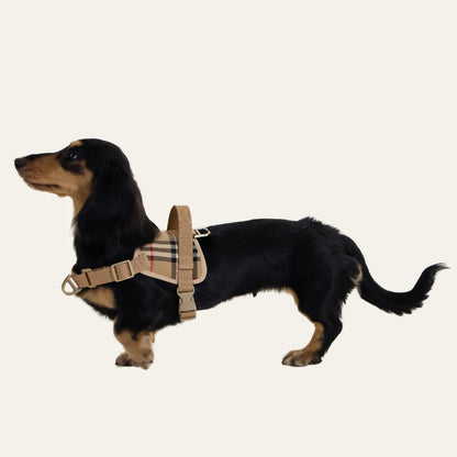 Khaki Dachshund Harness