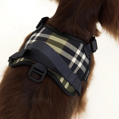 Black Dachshund Harness