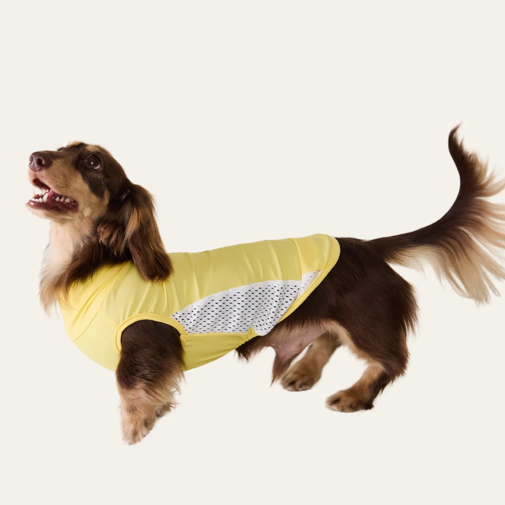 Yellow Cooling Vest
