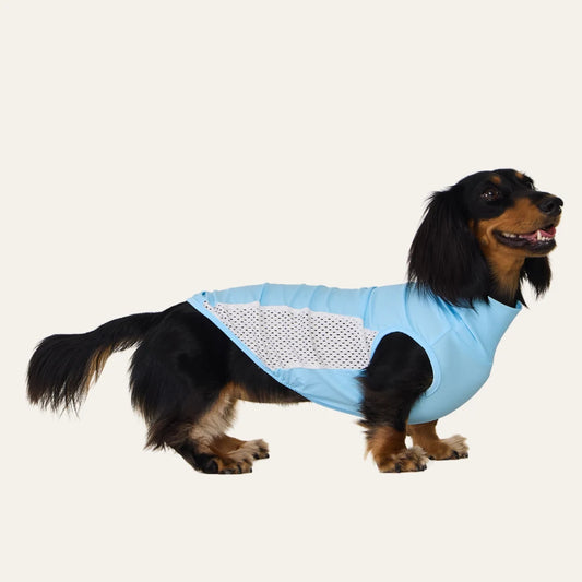 Blue  Cooling Vest