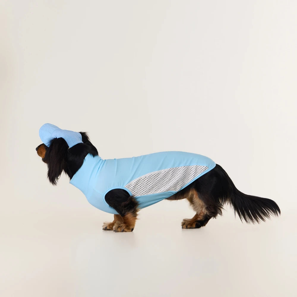 Yellow Dachshund Cooling Vest | UPF 50+ Quick-Dry | ArtisanUni