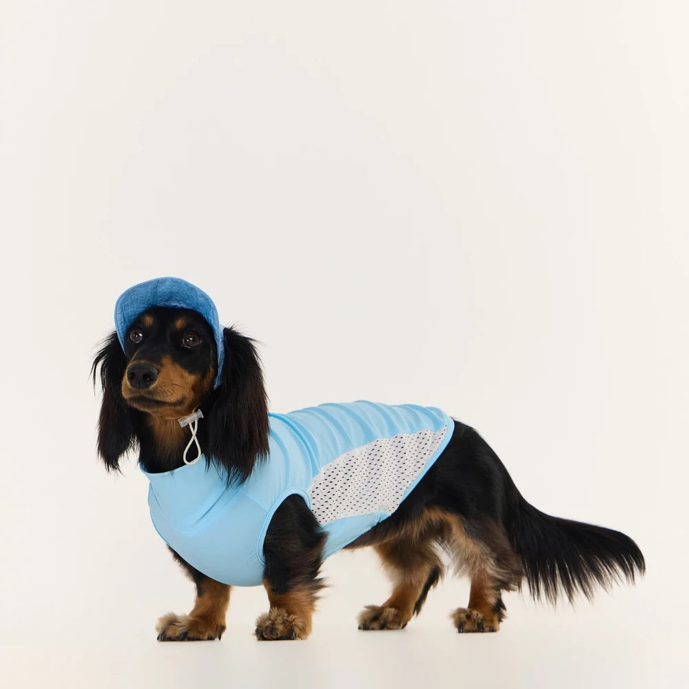 Yellow Dachshund Cooling Vest | UPF 50+ Quick-Dry | ArtisanUni