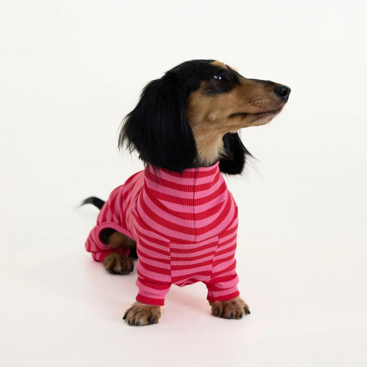 Red-Striped Dachshund Pajamas