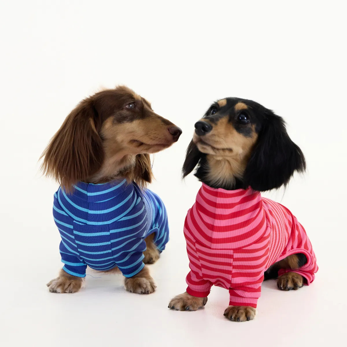 Red-Striped Dachshund Pajamas