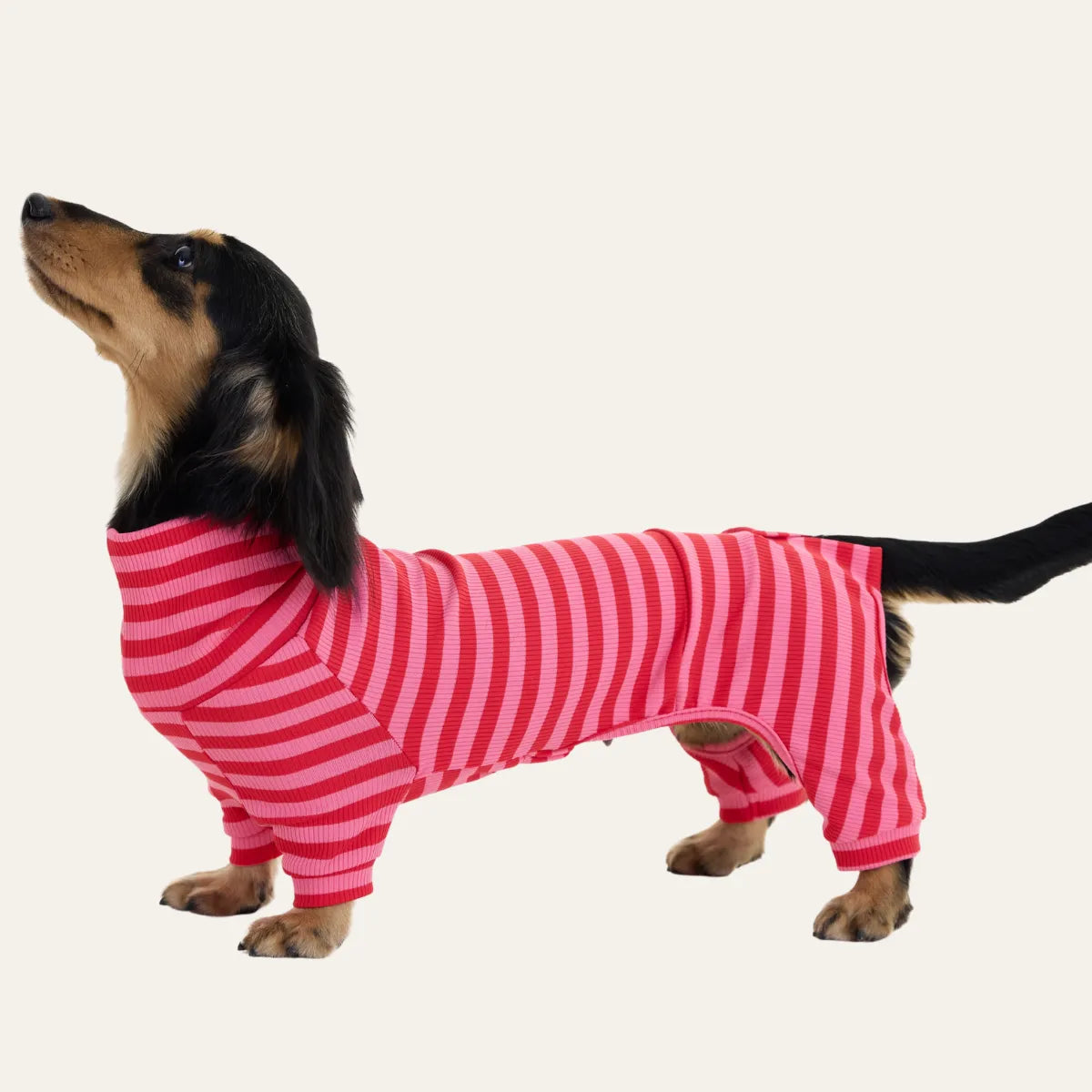 Red-Striped Dachshund Pajamas