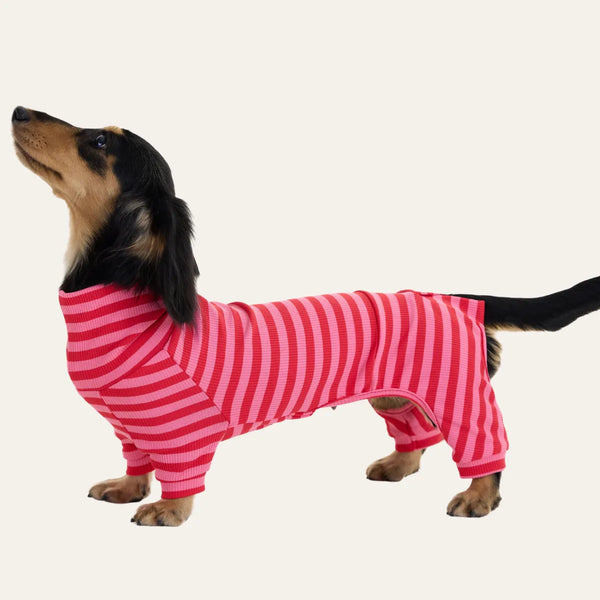 Red-Striped Dachshund Pajamas