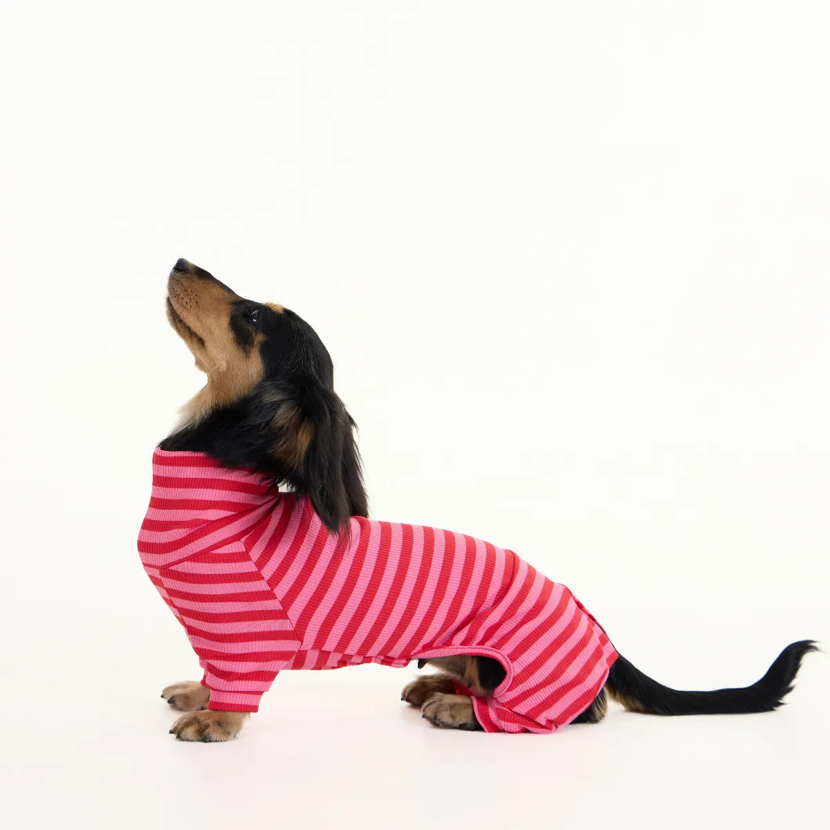 Red-Striped Dachshund Pajamas