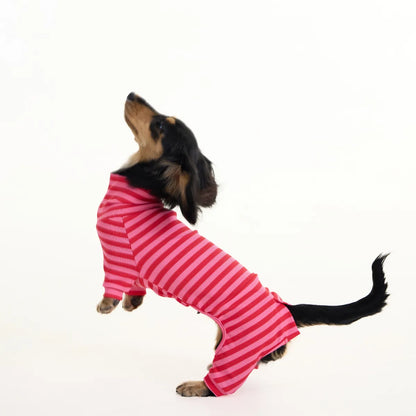 Red-Striped Dachshund Pajamas