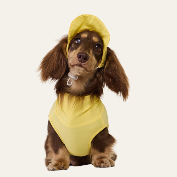 Yellow Cooling Hat