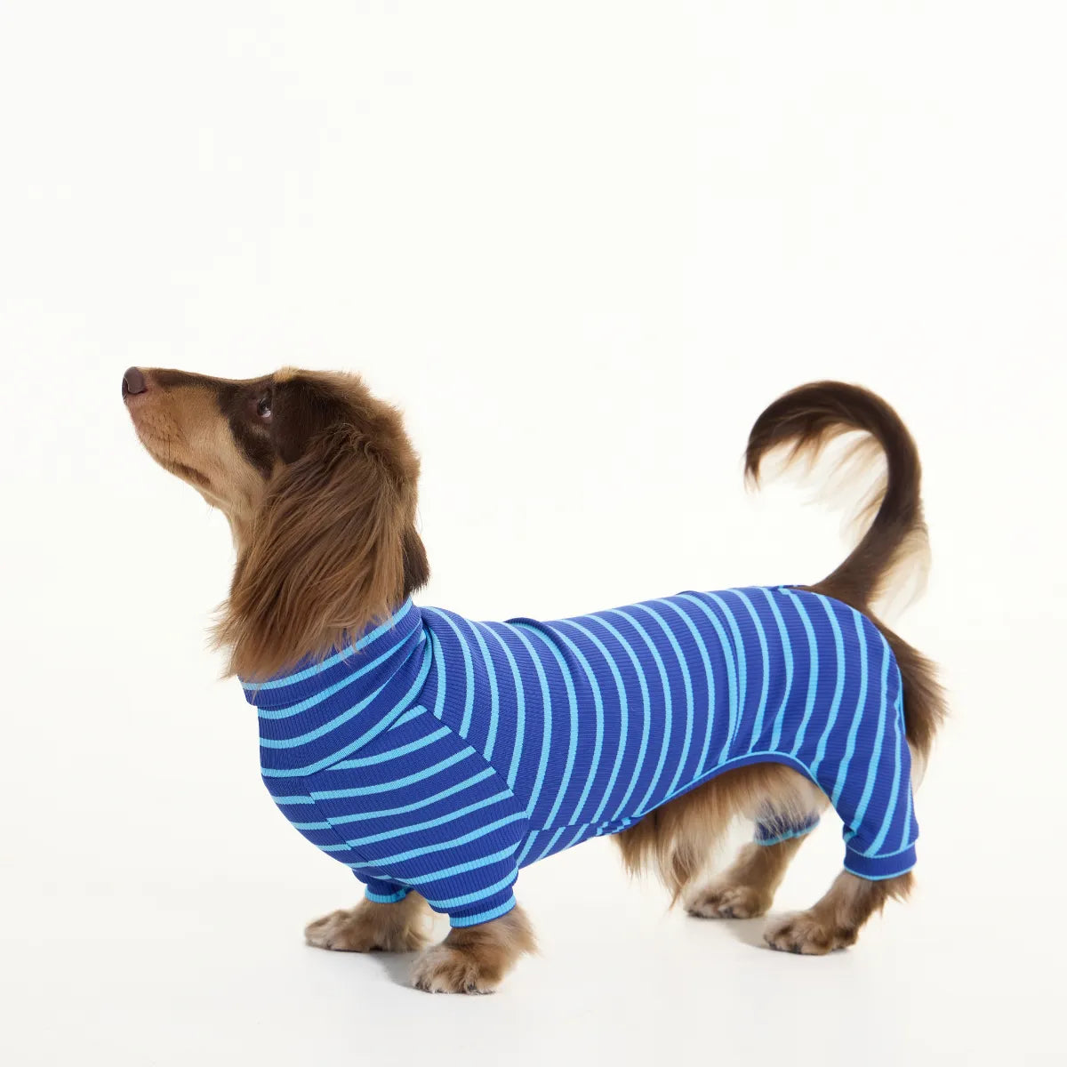 Blue-Striped Dachshund Pajamas