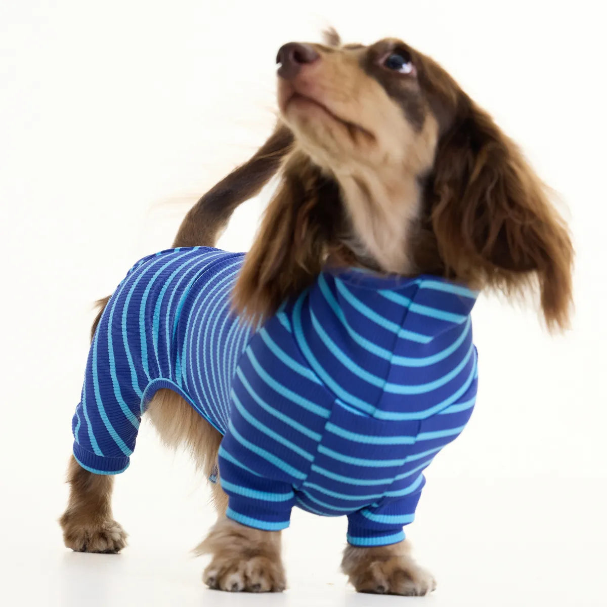 Blue-Striped Dachshund Pajamas
