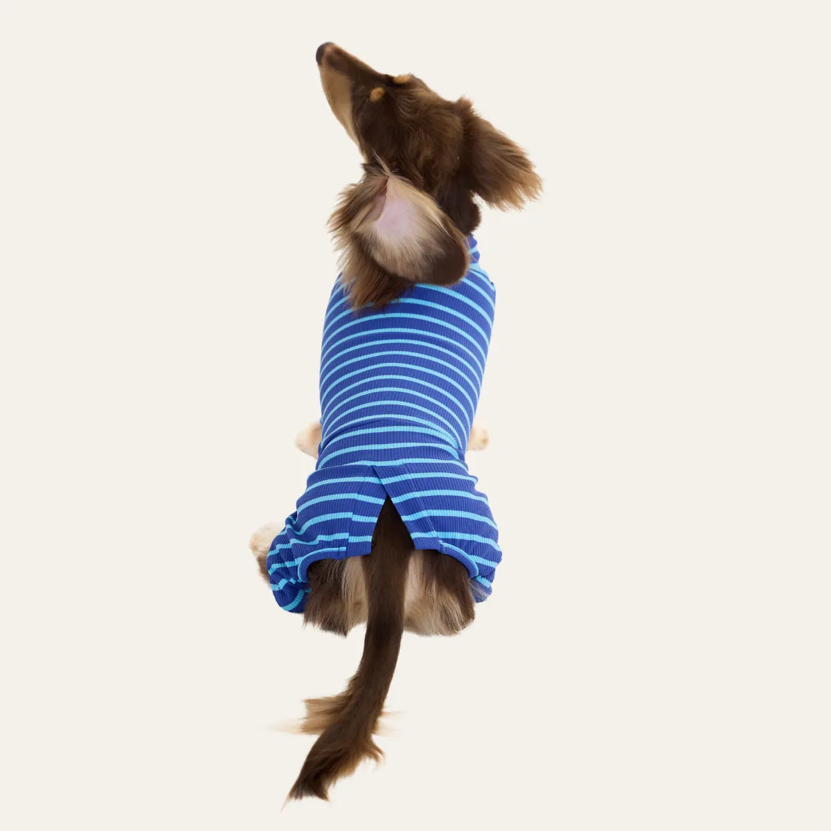 Blue-Striped Dachshund Pajamas