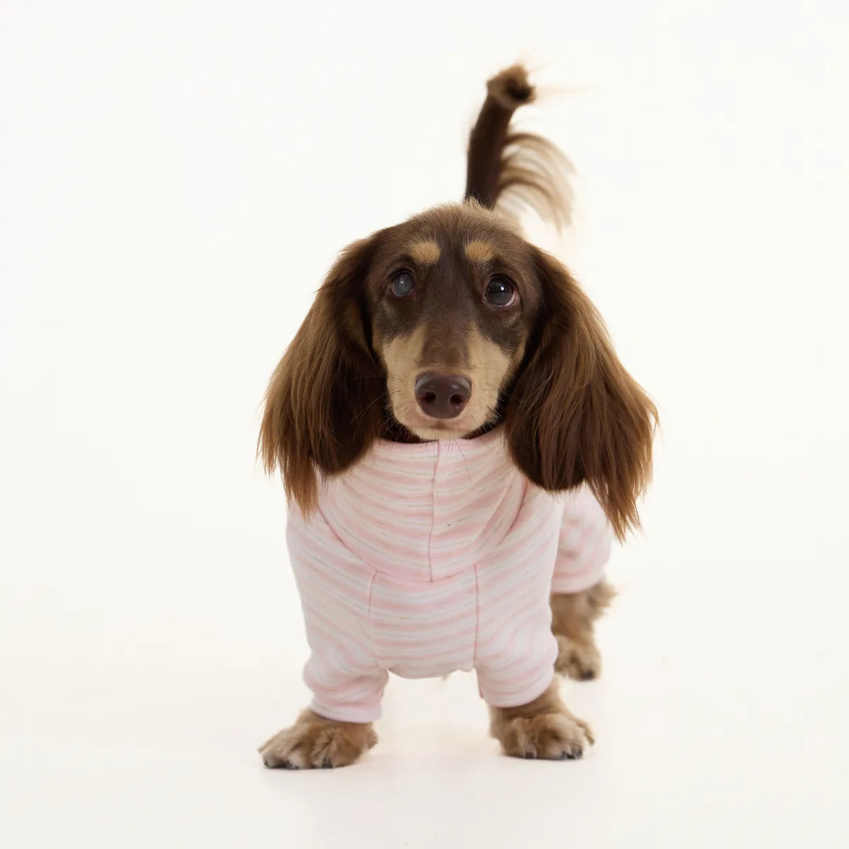 Pink Cashmere Dachshund Pajamas