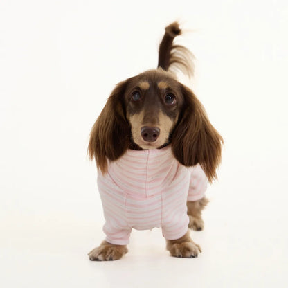 Pink Cashmere Dachshund Pajamas