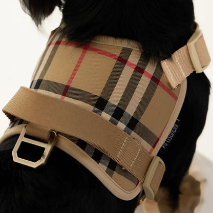 Black Dachshund Harness