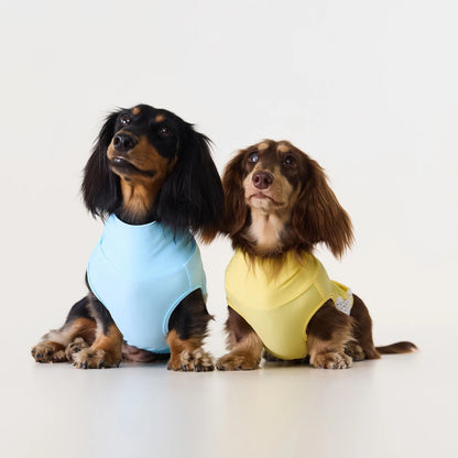 Yellow Dachshund Cooling Vest | UPF 50+ Quick-Dry | ArtisanUni