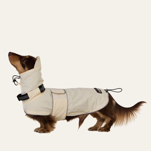 Dachshund Waterproof Raincoat