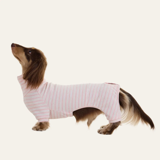 Pink Cashmere Dachshund Pajamas