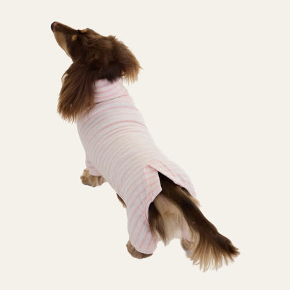 Pink Cashmere Dachshund Pajamas
