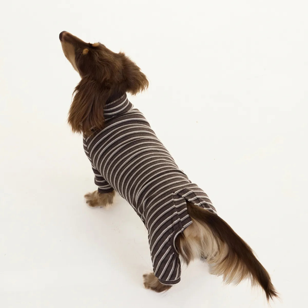 Brown Cashmere Dachshund Pajamas