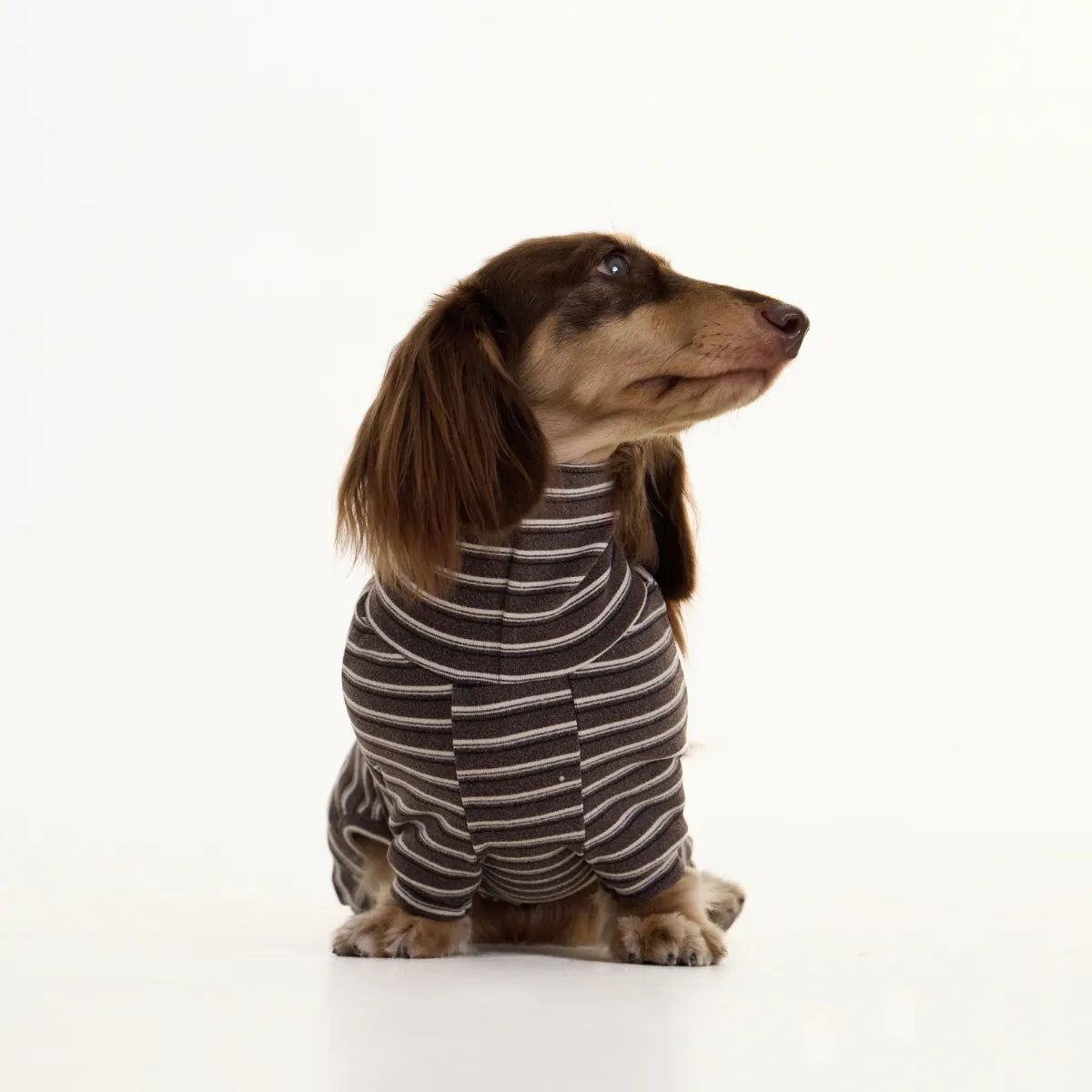 Brown Cashmere Dachshund Pajamas