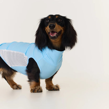 Sky Blue Dachshund Cooling Vest | UPF 50+ Quick-Dry | ArtisanUni