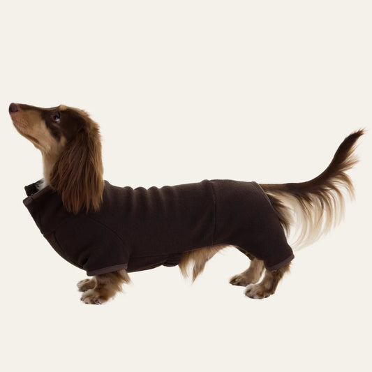 Brown Dachshund Pajamas