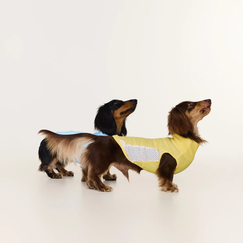 Yellow Dachshund Cooling Vest | UPF 50+ Quick-Dry | ArtisanUni