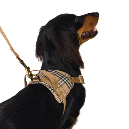 Khaki Dachshund Harness
