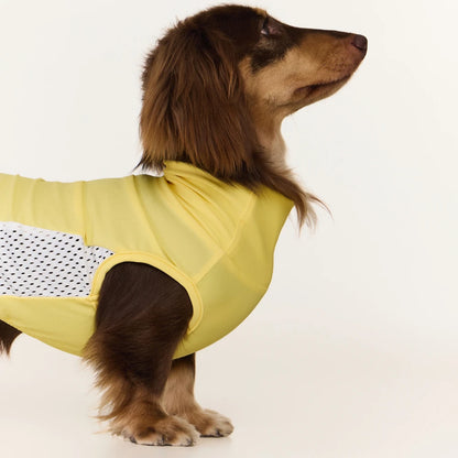 Yellow Dachshund Cooling Vest | UPF 50+ Quick-Dry | ArtisanUni