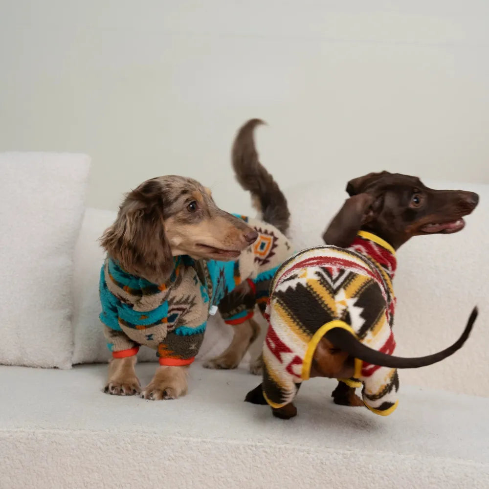 New winter Four-Legged sweaters for dachshunds |ArtisanUni
