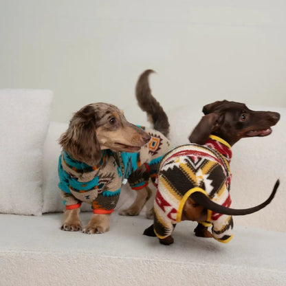 New winter Four-Legged sweaters for dachshunds |ArtisanUni
