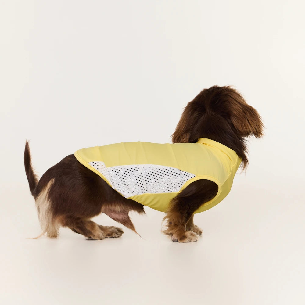 Yellow Dachshund Cooling Vest | UPF 50+ Quick-Dry | ArtisanUni