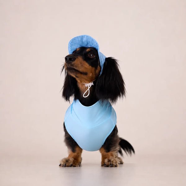 Blue Cooling Hat