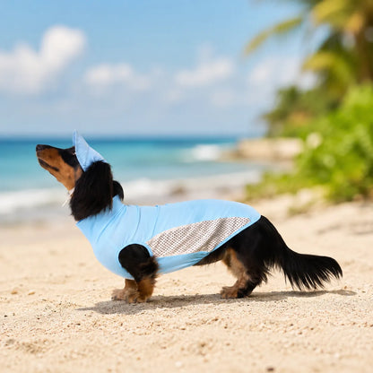 Blue  Cooling Vest