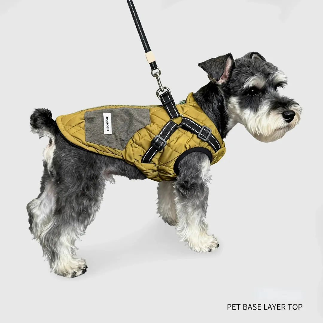 Dachshund Harness Coat | Fleece-Lined Vest with Glow-in-Dark Safety | ArtisanUni