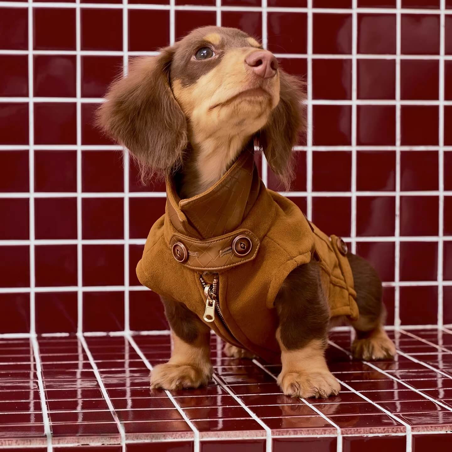 Dachshund Coats | Luxury Reversible Suede Vest | ArtisanUni