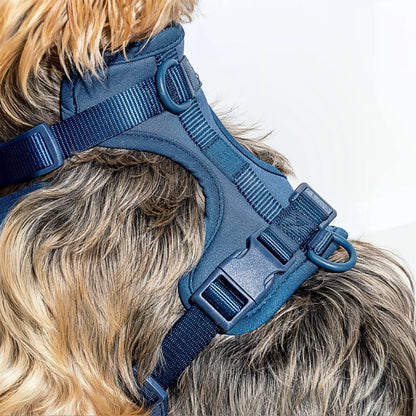 Dog Harness & Waterproof Leash Walk Kit | Cushioned No-Pull Set | ArtisanUni