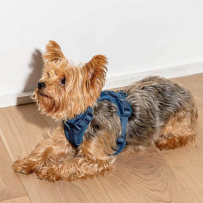Dog Harness & Waterproof Leash Walk Kit | Cushioned No-Pull Set | ArtisanUni