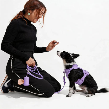 Dog Harness & Waterproof Leash Walk Kit | Cushioned No-Pull Set | ArtisanUni