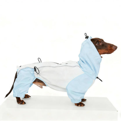 Dachshund Four-Legged Waterproof Raincoat | Spring Essential | ArtisanUni