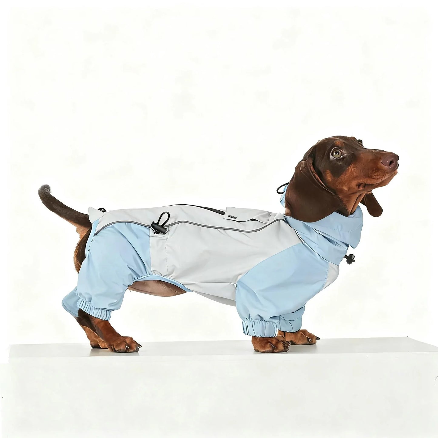 Dachshund Four-Legged Waterproof Raincoat | Spring Essential | ArtisanUni
