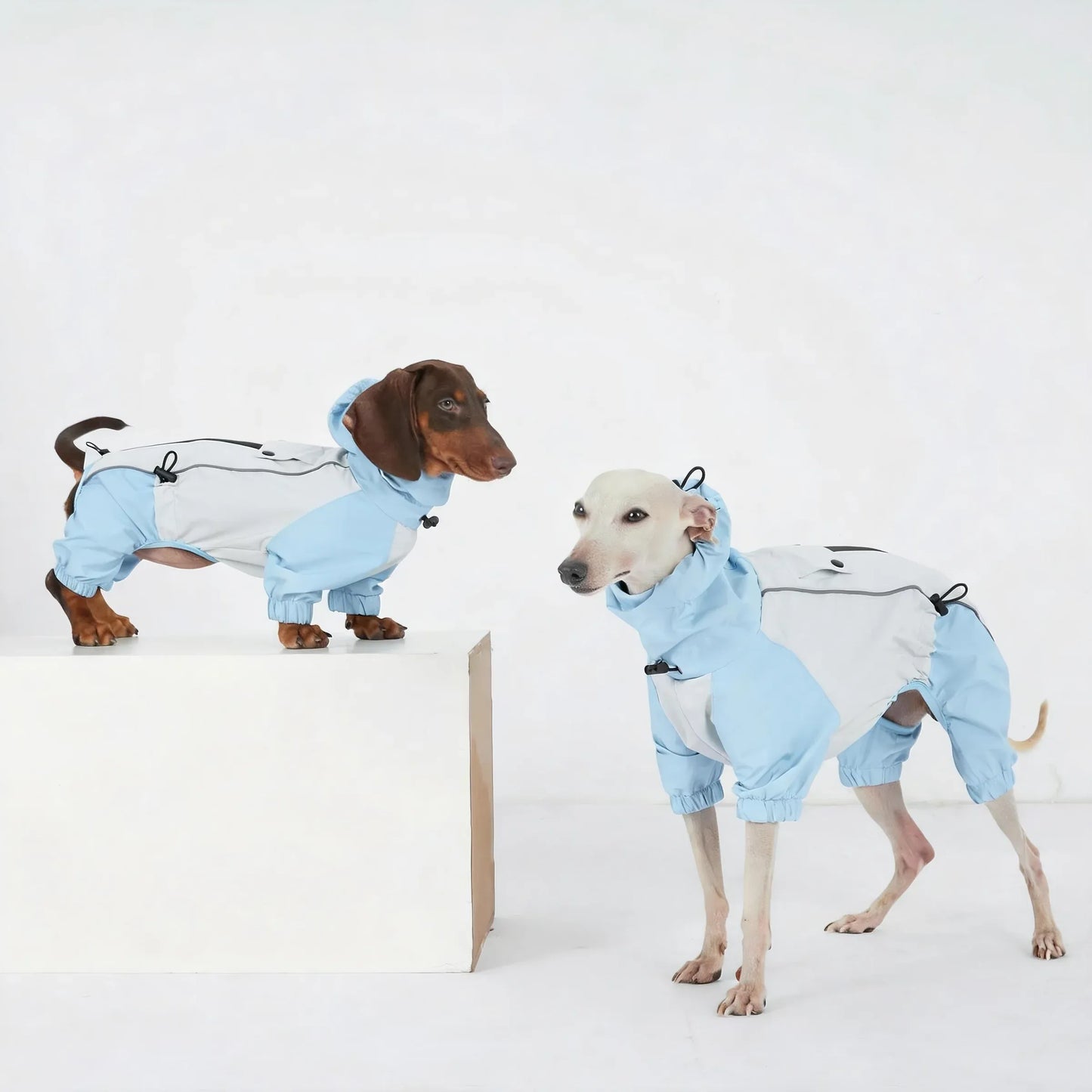 Dachshund Four-Legged Waterproof Raincoat | Spring Essential | ArtisanUni
