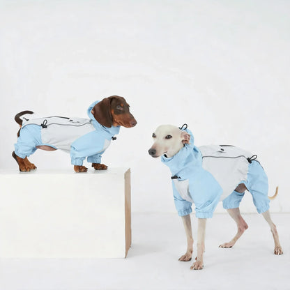 Dachshund Four-Legged Waterproof Raincoat | Spring Essential | ArtisanUni