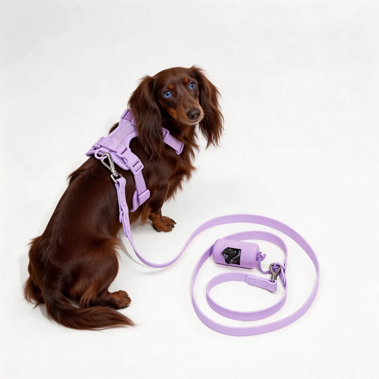 Dog Harness & Waterproof Leash Walk Kit | Cushioned No-Pull Set | ArtisanUni