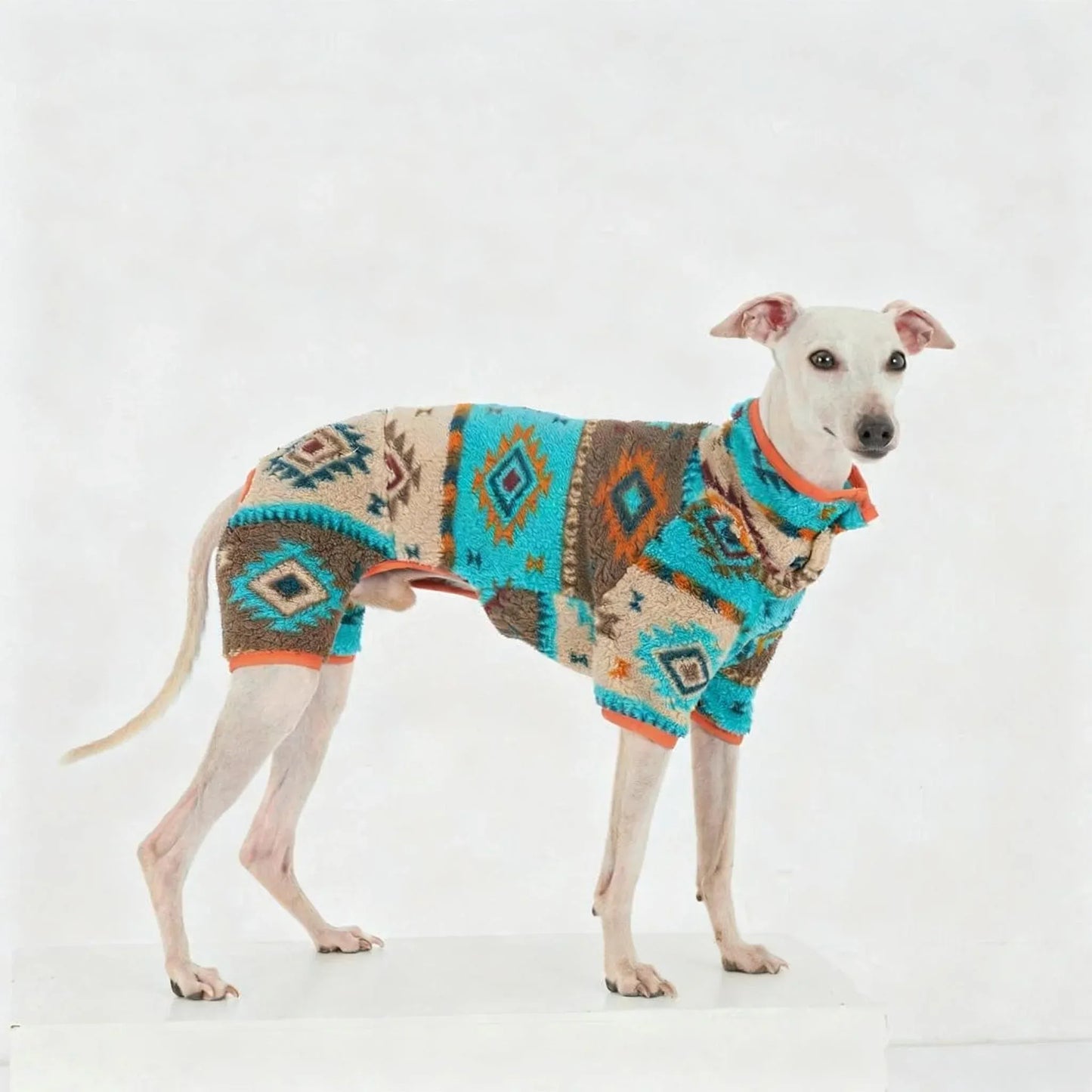 New winter Four-Legged sweaters for dachshunds |ArtisanUni